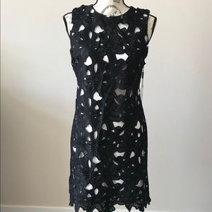 Calvin Klein ~ Lace Mini Dress 🆕